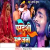 About Pardeshi Sajani Song